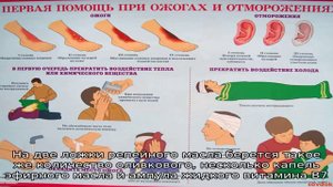 Болит кожа на голове и выпадают волосы: что делать?