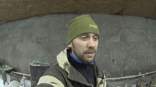 Подготовка самок к окролу. Планирование клеток в новый крольчатник смотреть онлайн
