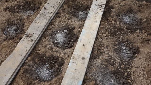 307. САЖАЮ ПЕРЕЦ В ТЕПЛИЦУ СПОСОБ ПОСАДКИ КЛАССИЧЕСКИЙ 2019 смотреть онлайн