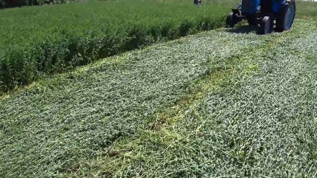 уборка сена 2021 смотреть онлайн