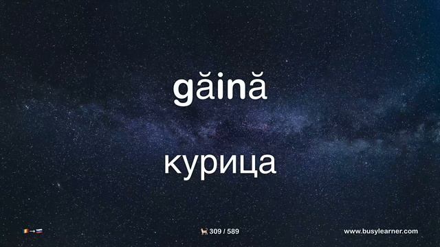 Полезные румынские слова и фразы для начинающих. Учим румынский язык, слушая музыку.