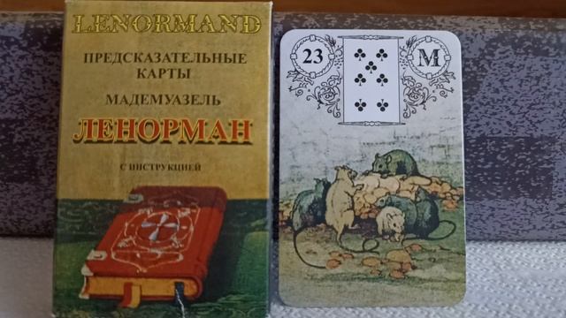 23 карта КРЫСЫ или МЫШИ. Колода Ленорман. Основные значения