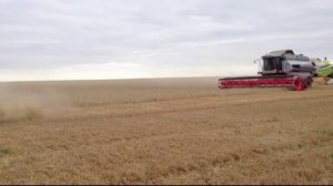 Навесная жатка Дон Мар 9 метров для комбайна Вектор (Header Don Mar 9m Vector)