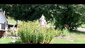 Сказка АЛЕНЬКИЙ ЦВЕТОЧЕК.mp4