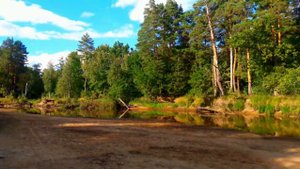 РЕКА ПРА ДОРОГА ПО БЕРЕГУ 2022.09.04