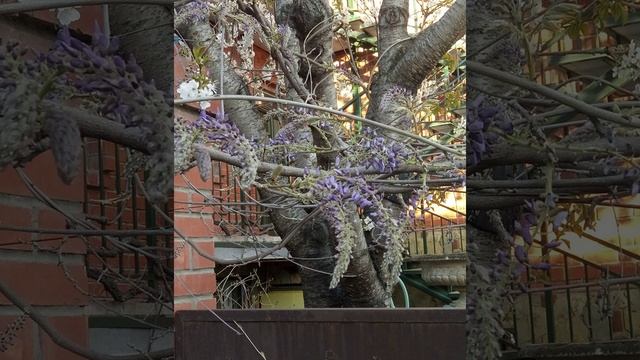 Вера с горчичное зерно смотреть онлайн