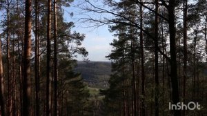 Природа нашей Сибири.