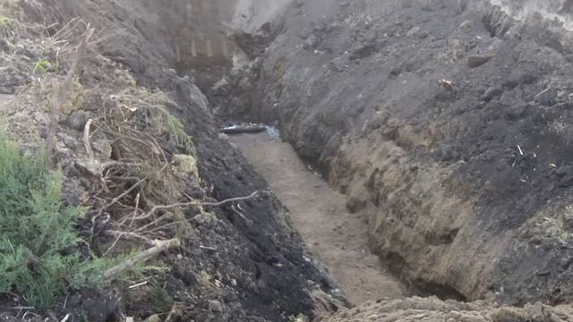 Мифические дренажи ПИОНЕР-ПАРКА смотреть онлайн