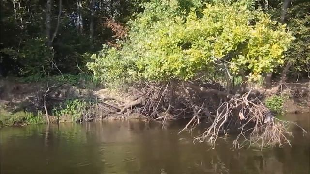 сплав по Десне мост санаторий чёрный вир белая горка дубки смотреть онлайн