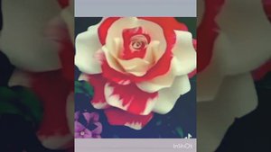 🌺Суруди 🌺Ерони 🌹2023🌹