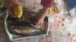 Как приготовить форель в фольге. Приготовить форель на мангале.