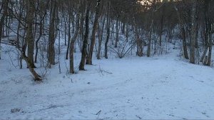48 ЧАСОВ В ЛЕСУ. КАК ВЫЖИТЬ ЗИМОЙ В КРЫМСКИХ ГОРАХ.