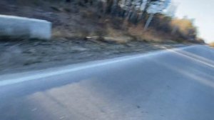 Honda Dio 75cc валит 85 km/h