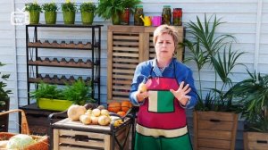 Как хранить лук зимой? ? Полезные советы эксперта hitsadTV