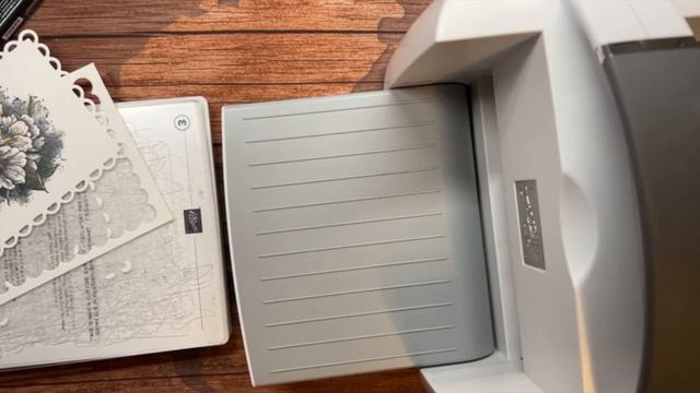 Friday Night Live - February 4, 2022 Calming Camellia смотреть онлайн