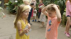 Butterfly Jungle Opens at San Diego Zoo Safari Park