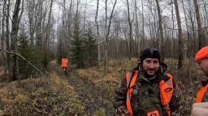 Охота на лося загоном. Осень 23