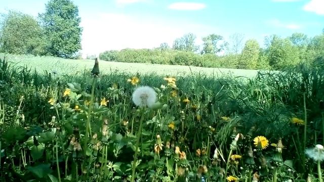 Христианские стихи с очень глубоким смыслом.