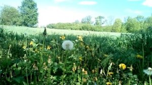 Христианские стихи с очень глубоким смыслом.