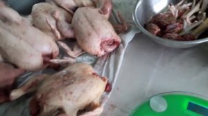 #Забой бройлера Кобб 500 на 42 день.#Вес тушки в 42дня.