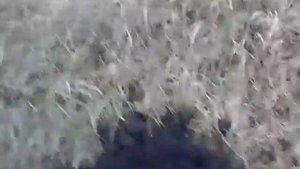 ГРУНТ ДЛЯ РАССАДЫ своими руками