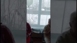 пансионат "Золотая осень"