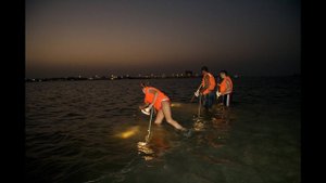 ОАЭ, Дубай, Ночная охота на крабов в океане, как есть крабов, ЦЕНА
