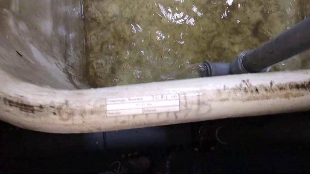 Рабочий день рыбовода. Инкубация икры осетра, роение личинки осетра смотреть онлайн