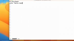 How to create simple shell script in macOS | Create a bash script to print hello world in Terminal