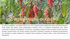 розовый перец