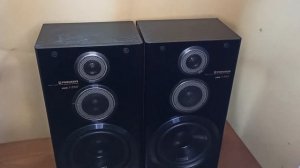 PIONEER S-Z92V