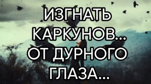 ИЗГНАТЬ КАРКУНОВ...ОТ ДУРНОГО ГЛАЗА...ДЛЯ ВСЕХ...
