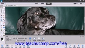 Photoshop Elements 12 Tutorial Image Magnification Adobe Training Lesson 3.8