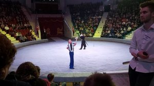 Clowns. The circus. Клоуны. Цирк.