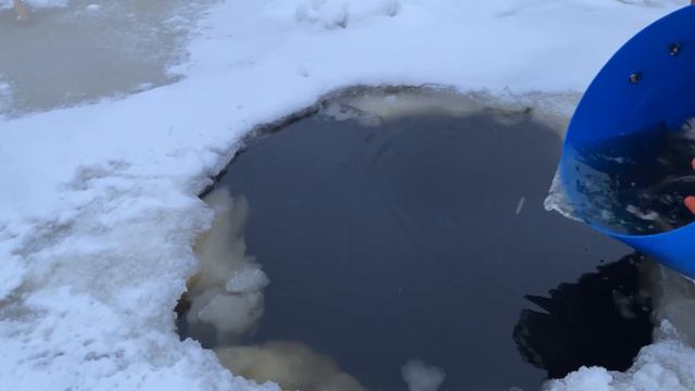 Пополнение форелевой акватории смотреть онлайн