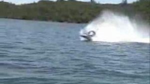 Лодка-дельфин Bionic Dolphin