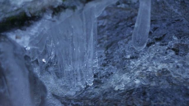 Autumn in the Finnish woods of Norway смотреть онлайн