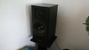 Technics sb-ex2 & Pioneer a602r