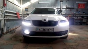 Стробоскопы октавия а7