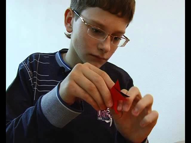 Оригамист из Ангарска