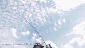 Обзор фидерного удилища Volzhanka Pro Sport Feeder