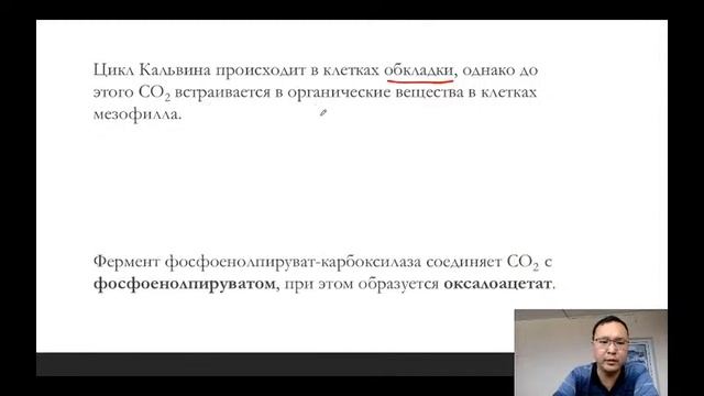 Фотосинтез (часть 2)