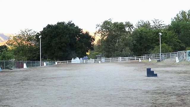 Stretching Exercise With my Horse 6-6-2021 смотреть онлайн