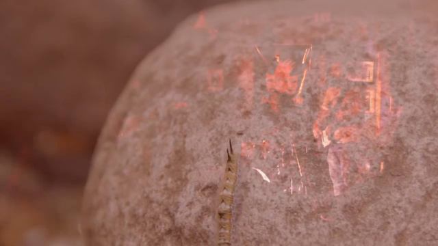 Pablo Ibañez & La desértica en vivo - Desiertos - смотреть онлайн