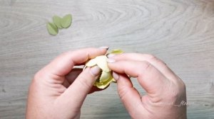 Ну, не красота ли? МК Бархатные Ранункулюсы из фоамирана, Украшение для девочек