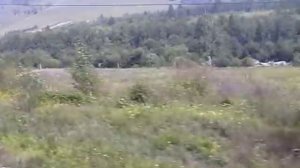 Читинская обл.