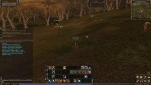 Lineage 2 Classic Гайд Где Сполить Сопы(Камень Чистоты) (Stone of Purity)