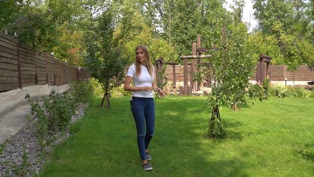 Часть 3 Room tour. Плодовые деревья, кустарники смотреть онлайн