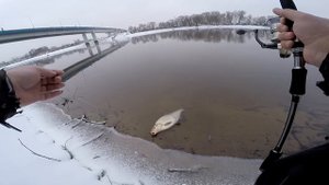 Лещ на джиг