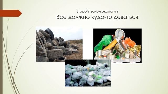 Законы экологии